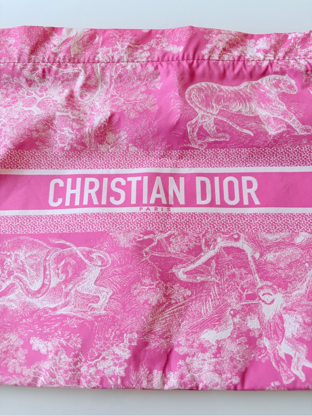 Christian Dior Pink Toile Pouch - Picture 2 of 9